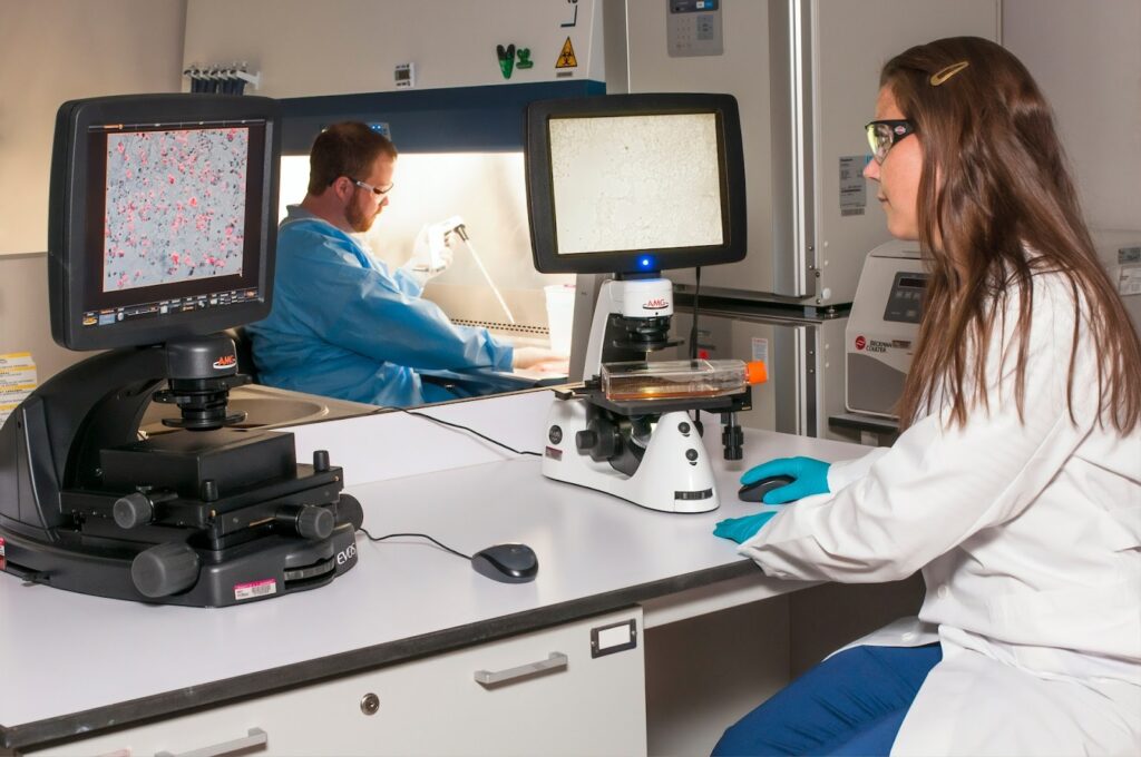 5 Reasons Why Elisa Kits Are Essential In Medical Research 1 Elisa Kits