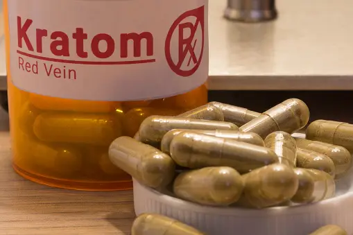 5 Surprising Facts About Kratom You Need To Know 4 kratom strains