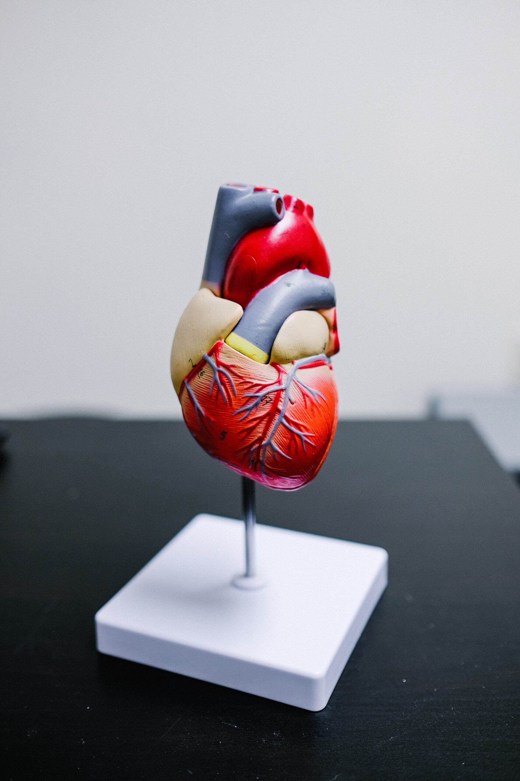 How Pacemaker Is Beneficial In Managing Heart Arrhythmi...