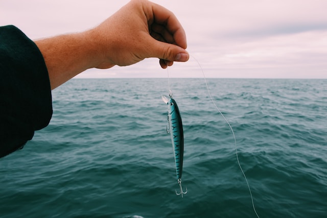 7 Simple Techniques for Successfully Getting Live Bait 1 Photo showing an plastic bait