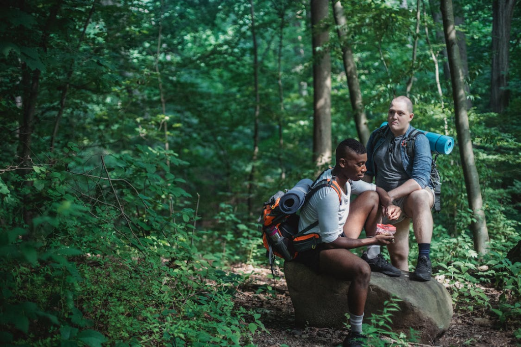 5 Essential Tips For A Memorable Hiking Trip 1 Hiking