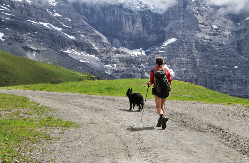 5 Essential Tips For A Memorable Hiking Trip 2 Back View Shot of a Backpacker Walking with Her Dog Near the Mountain