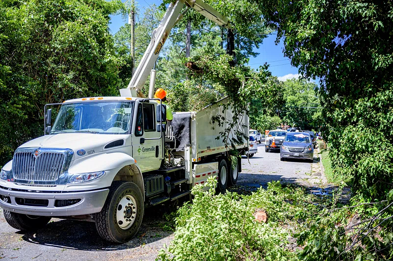 Tree Services for Real Estate: Enhancing Property Value...
