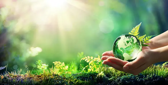 Lab Grown Diamonds: Combining Sustainability with Sparkle 2 Lab Grown Diamonds: Combining Sustainability with Sparkle 2