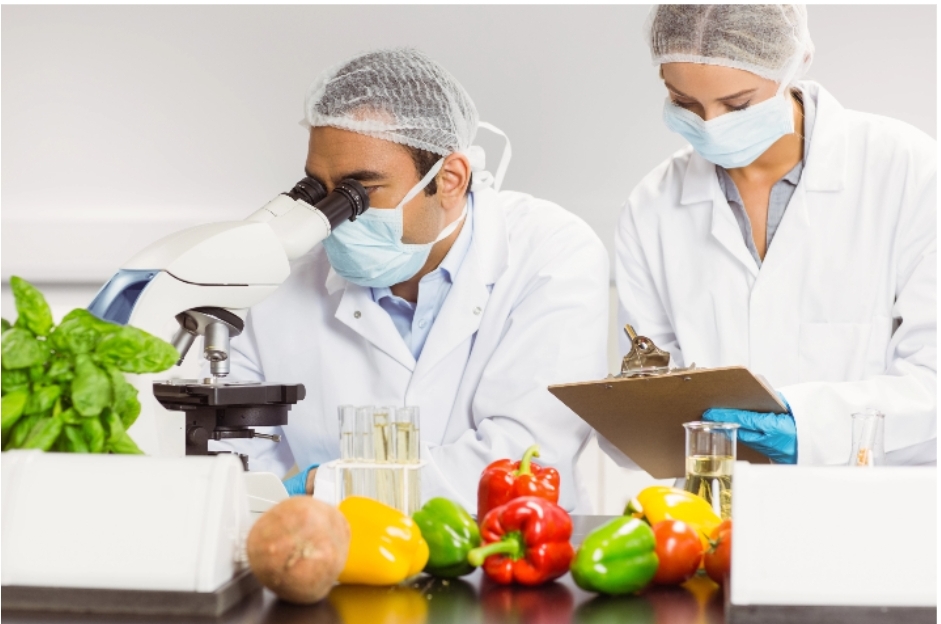 5 Secret Ingredients For A-Star Food Technology Assignm...
