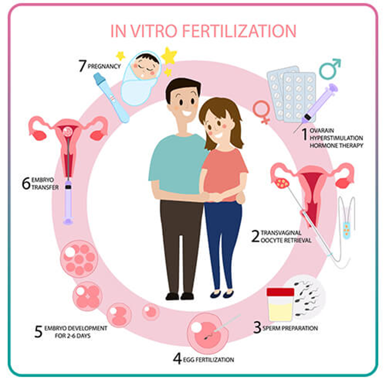 IVF Treatment Services Offered and Their Cost