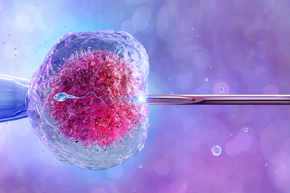 IVF Treatment with VEA