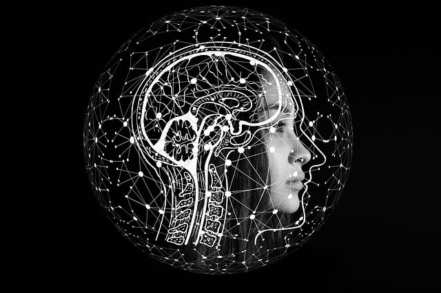 The Role of AI in Enhancing User Experience in Online C...