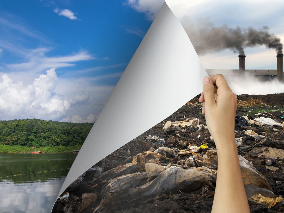 How Eco-Friendly Practices Reduce Environmental Polluti...