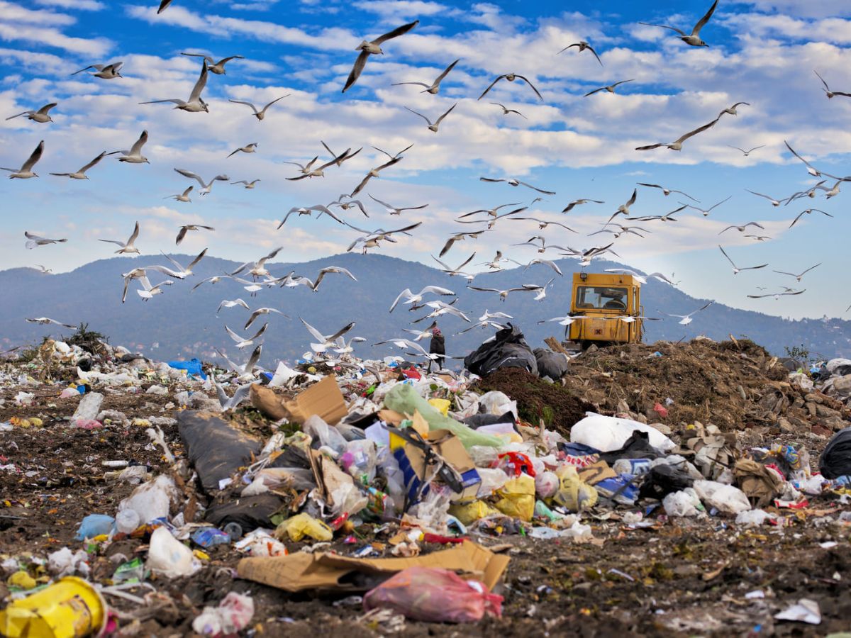 The Common Challenges To Face in Waste Management
