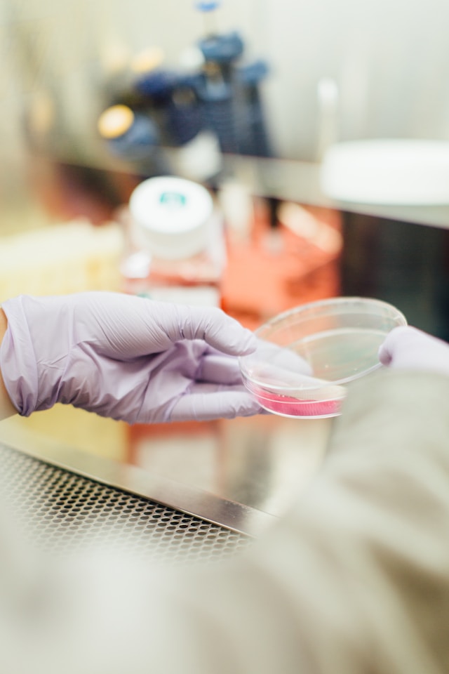 Vitamin Test Kits-Everything You Need to Know About Vitamin Test Kits 1 Vitamin Test Kits