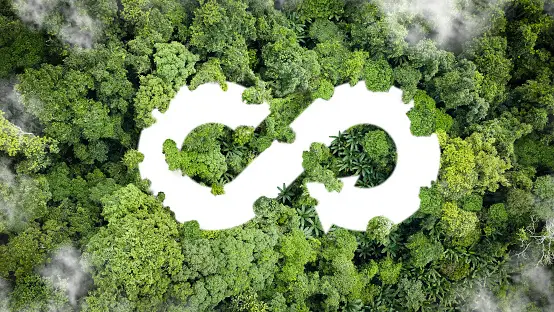 Sustainability Matters: Integrating Eco-Friendly Practi...