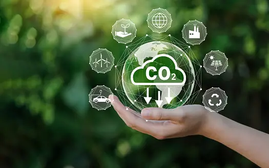 Why Proper Waste Disposal is Essential for the Environment? 2 Why Proper Waste Disposal is Essential for the Environment? 1
