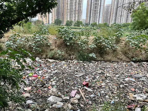 Why Proper Waste Disposal is Essential for the Environment? 3 Why Proper Waste Disposal is Essential for the Environment? 2